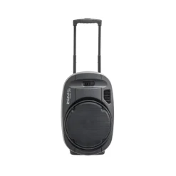 Altavoz inalámbrico Ibiza Sound Port12VHF-MKII-TWS 700W 2 micrófonos Bluetooth negro