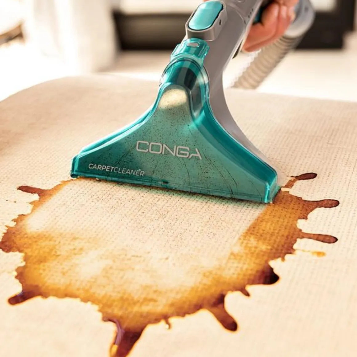 Aspirador de tapicerías Cecotec Conga CarpetClean 10000 EasyHome 800W con accesorios
