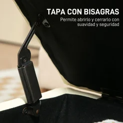 Baúl de almacenaje Bonnie Homcom 33L tapa abatible 40x60x38 cm