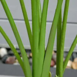 Bananera artificial Homcom 10 hojas con macetero verde 160 cm