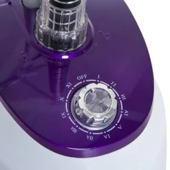 Centro de plachado vertical Homcom 1800W 1,8L 11 niveles de temperatura