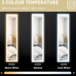 Espejo de pie Nerpio Homcom luz LED ajustable blanco 160x40 cm