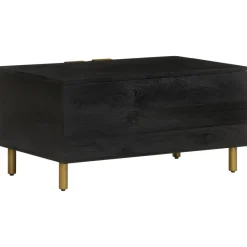 Mesa de centro Bamba 2 puertas negro 40x80x50 cm