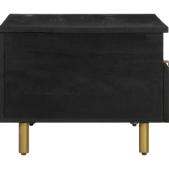 Mesa de centro Espino 2 cajones + 2 compartimentos negro 40x80x54 cm