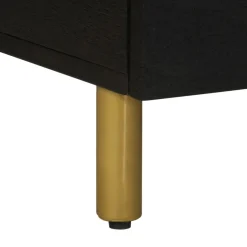 Mesa de centro Espino 2 cajones + 2 compartimentos negro 40x80x54 cm
