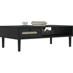 Mesa de centro Senja 1 cajón + 1 hueco 33x100x55 cm
