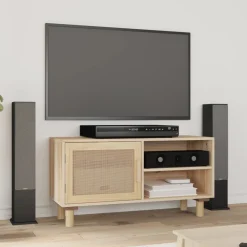 Mueble bajo de TV Beka 2 estantes + 1 puerta 40x80x30 cm