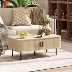Mueble de TV Calamita Homcom 2 puertas + 2 compartimentos roble 55x120x40 cm
