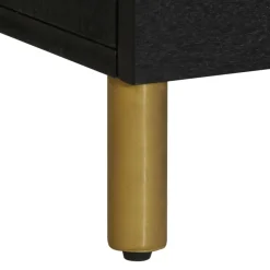 Mueble de TV Dalia 2 cajones + 5 compartimentos negro 46x100x33 cm