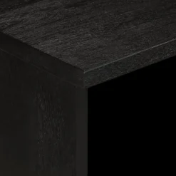 Mueble de TV Milano 2 compartimentos + 2 cajones negro 46x70x33 cm