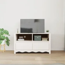 Mueble de TV Singapur 2 cajones + 2 compartimentos blanco 55x99x43 cm