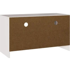 Mueble de TV Singapur 2 cajones + 2 compartimentos blanco 55x99x43 cm