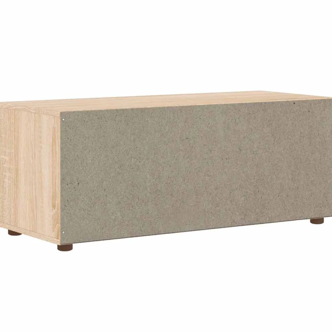 Mueble de TV Visnes 2 cajones + 2 compartimentos 38x100x40 cm