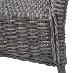 Pack de 2 sillas de comedor Kentucky ratán Kubu 93x46x61 cm