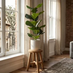 Planta artificial Ficus con macetero verde/blanco 72 cm