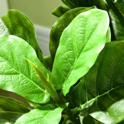 Planta imitación ficus Homcom 90 hojas 110 cm