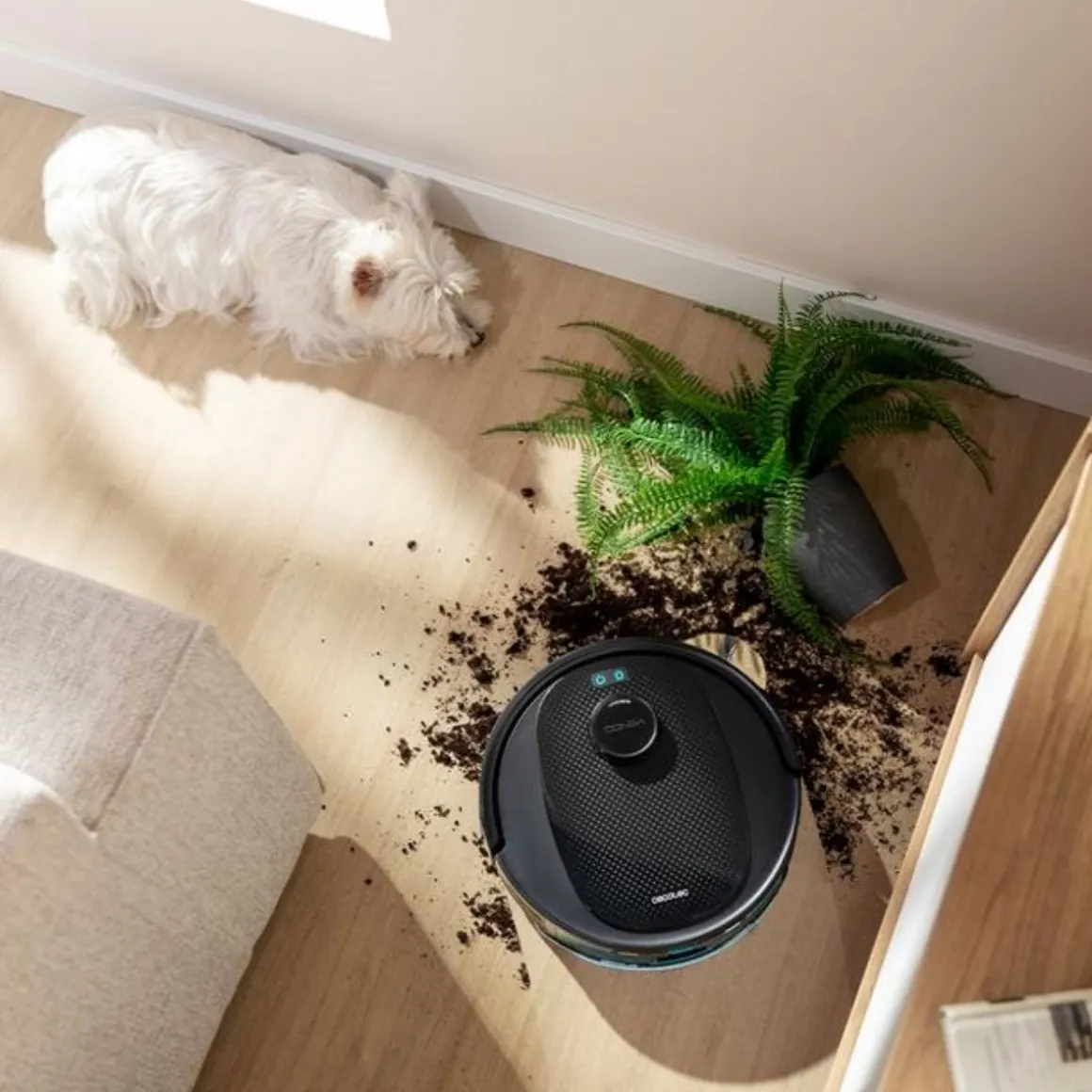 Robot aspirador Cecotec Conga Y80 base de autovaciado con IA WiFi negro