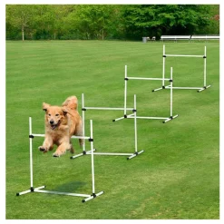 Set de entrenamiento PawHut para perros 4 piezas + bolsa de transporte blanco 95x95x65 cm